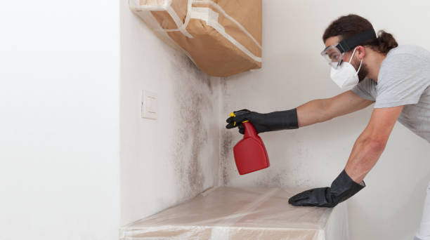 Professional Mold Removal technician working in Goldvein, VA